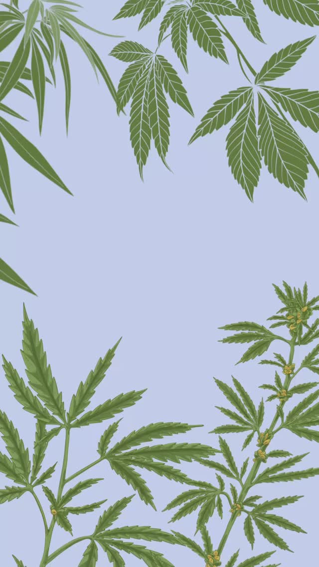 It’s national Hemp Day..!!! Check this out. #doobiesisters #marijuana #mancos #vortez #co #cannabis #recreational